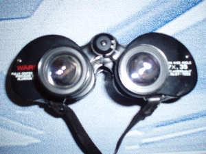 binoculars view from eyepieces